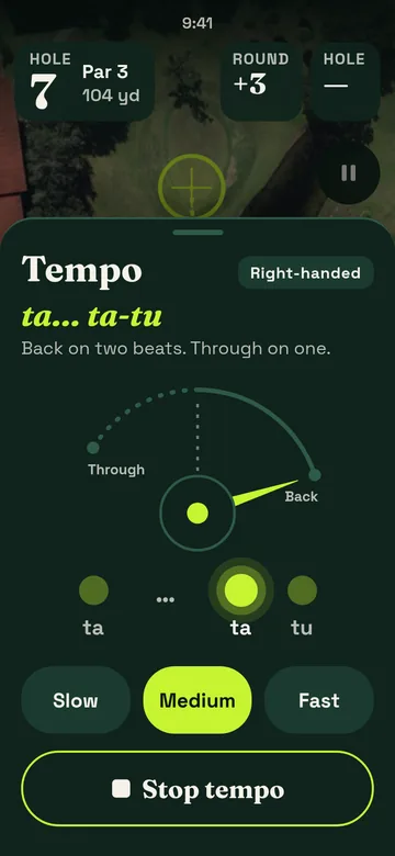 Tempo sheet, dark