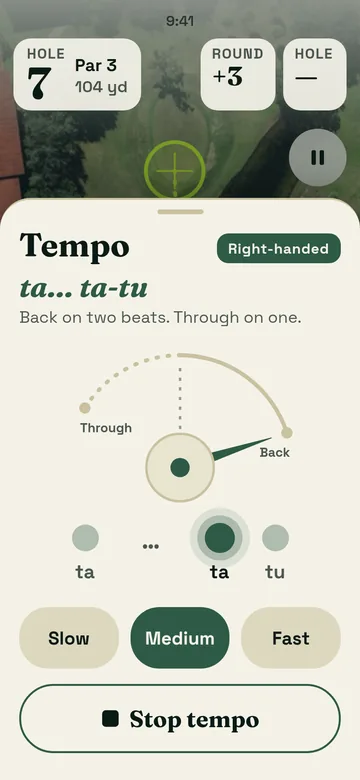 Tempo sheet, light